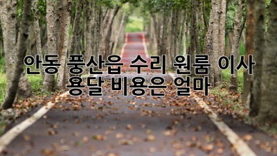 안동 풍산읍 수리 원룸 이사 용달 비용은 얼마?