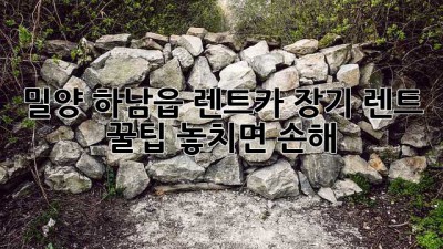 밀양 하남읍 렌트카 장기 렌트 꿀팁🍯 놓치면 손해!