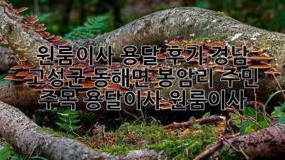 원룸이사 용달 후기🏠 경남 고성군 동해면 봉암리 주민 주목! #용달이사 #원룸이사