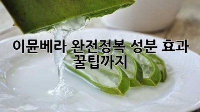 이뮨베라 완전정복! 성분, 효과, 꿀팁까지🍯